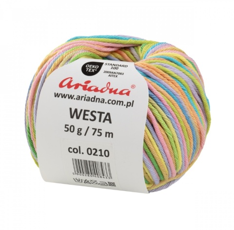 Włóczka Westa 2 Mulikolor