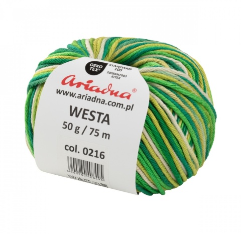 Włóczka Westa 2 Mulikolor